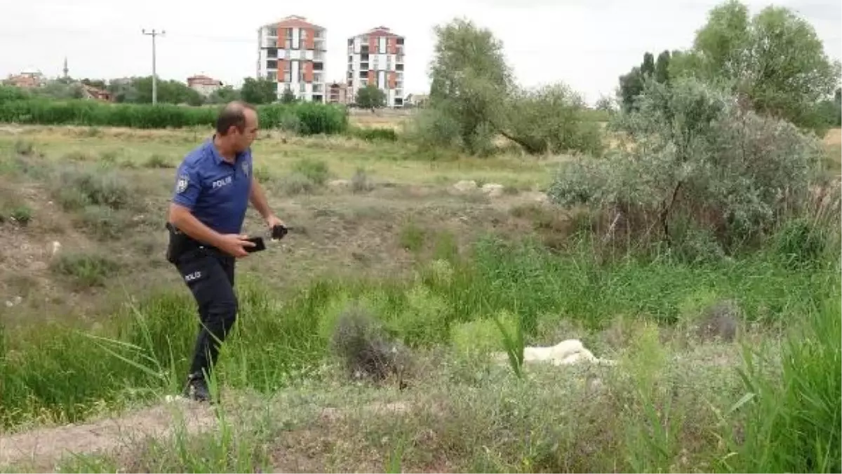 Aksaray\'da Av Tüfeği ile Köpek Öldüren Şahıs Yakalandı