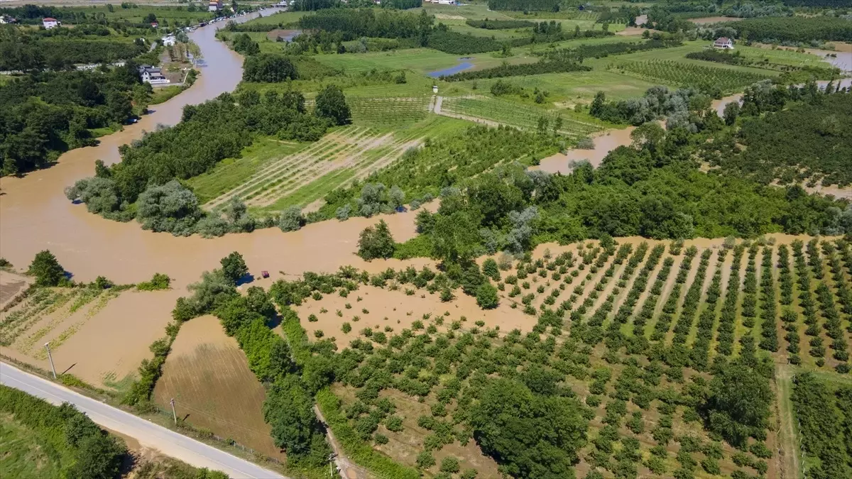 Sakarya\'da sağanak sonrası tarım arazileri su altında kaldı