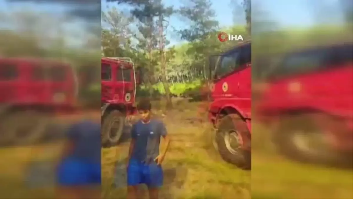 Milas\'ta orman yangını