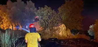 Muğla'nın Dalaman ilçesinde orman yangını kontrol altına alınıyor