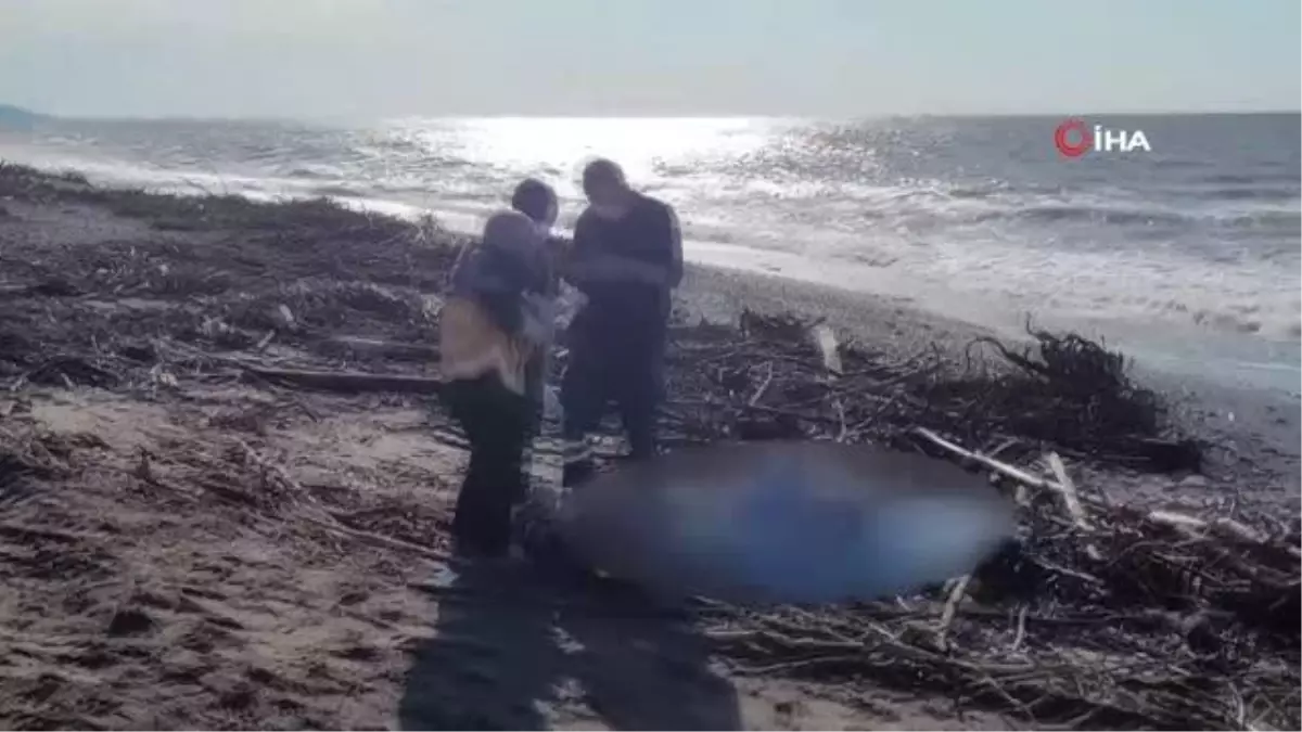 Odun toplamak için gittiği sahilde cansız bedeni bulundu