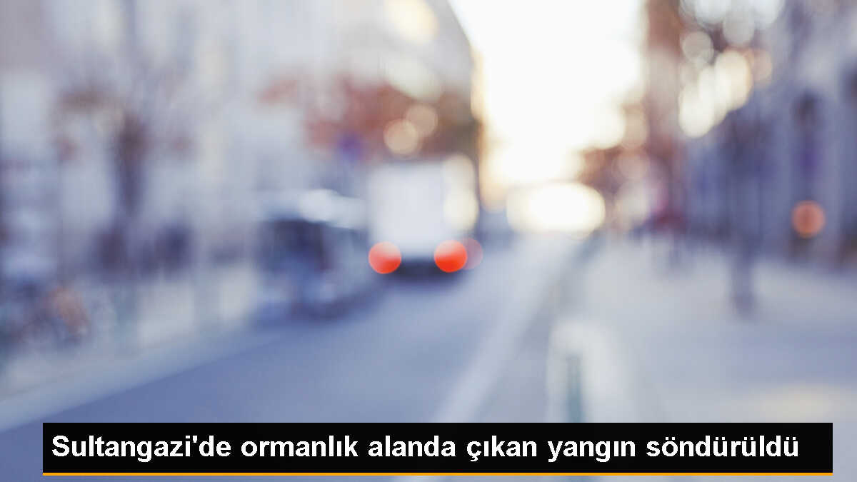 Sultangazi Kent Ormanı\'nda çıkan yangın söndürüldü