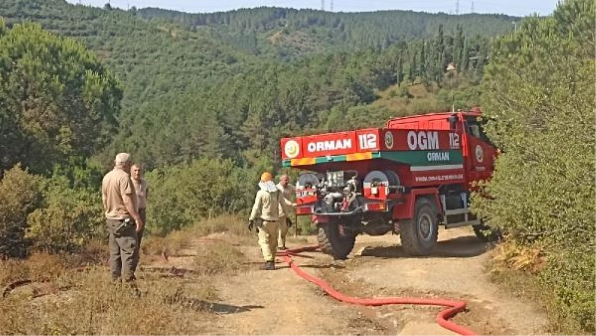 SULTANGAZİ Mimar Sinan Kent Ormanı\'nda çıkan yangın büyümeden söndürüldü