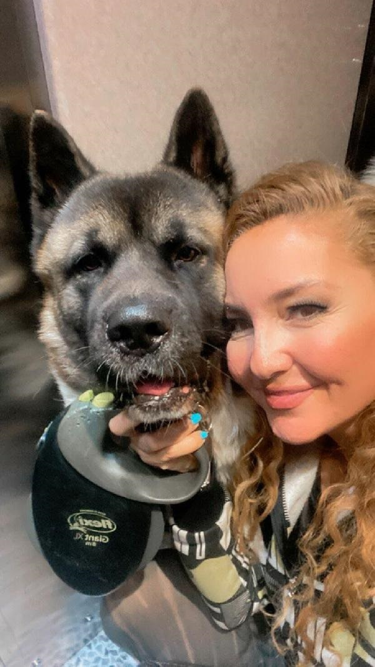 İzmir\'de Amerikan Akita cinsi köpek tekme darbeleriyle öldürüldü