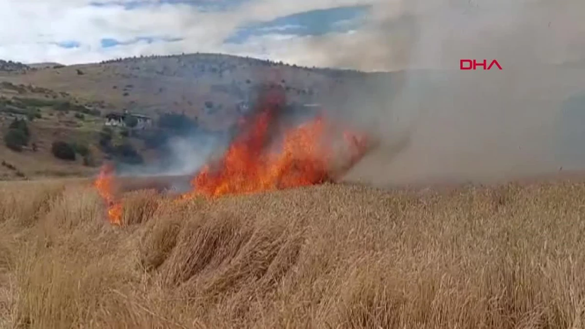 Tunceli\'de Tarlada Çıkan Yangında 10 Dönüm Ekili Buğday Yandı