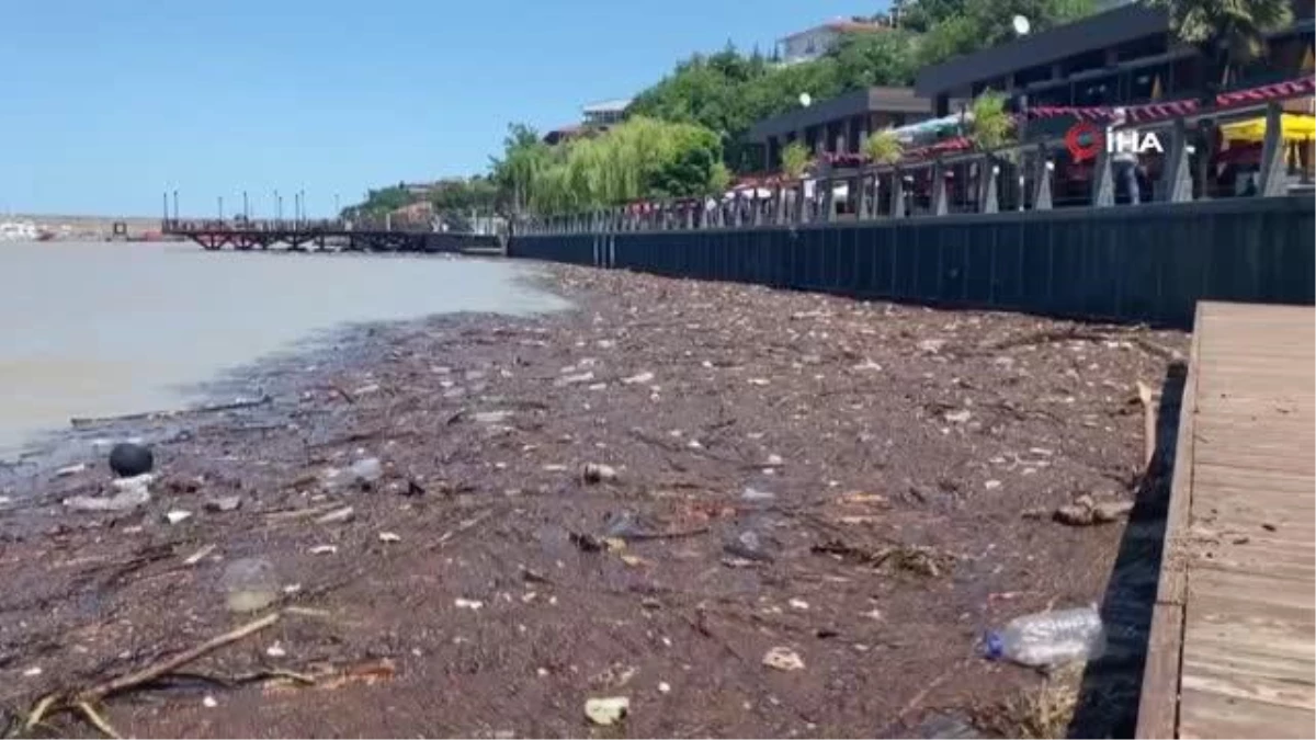 Yağmur sonrası çöp ve odun parçaları limanda toplandı