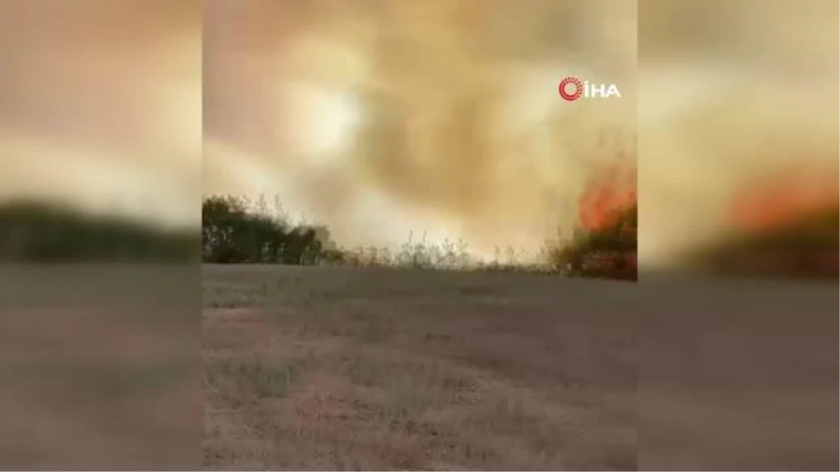 Adana\'da çıkan orman yangınına havadan ve karadan müdahale ediliyor