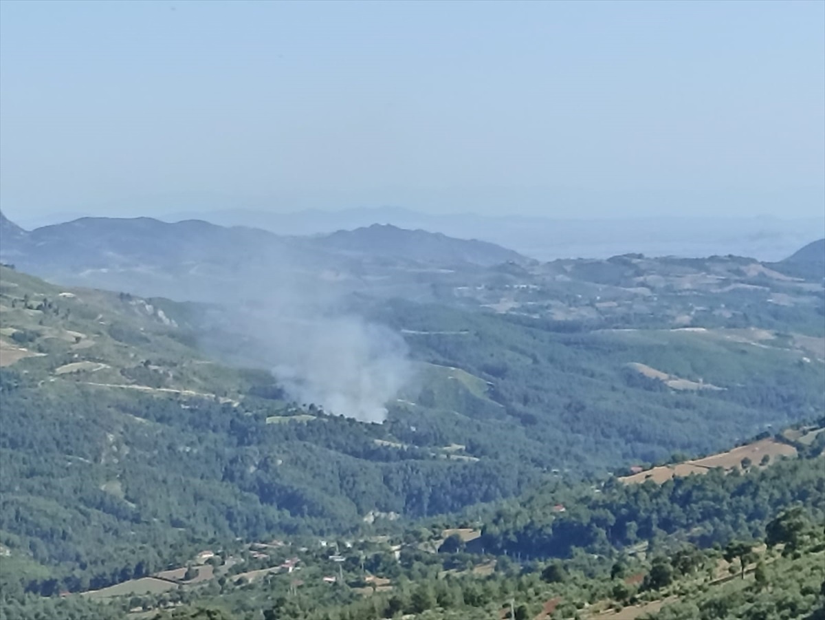 Adana\'da çıkan orman yangınına müdahale ediliyor