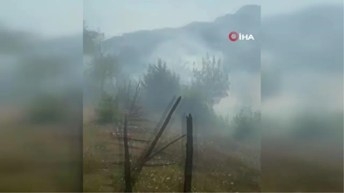 Adana\'da ikinci orman yangını, ekipler müdahaleye başladı