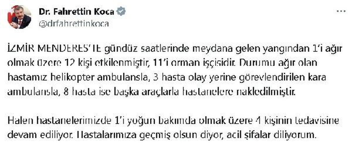 İzmir Menderes\'teki yangında 12 kişi etkilendi, 11\'i orman işçisi
