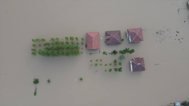 Düzce'de Efteni Gölü havzasında taşkın: 350 dekar alan zarar gördü