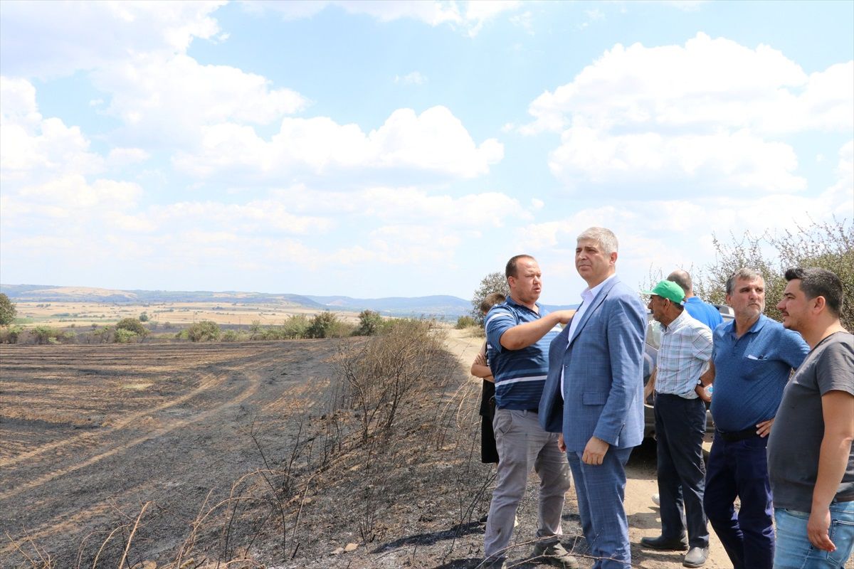 Edirne\'de yangında buğday ekili tarlalarda zarar meydana geldi
