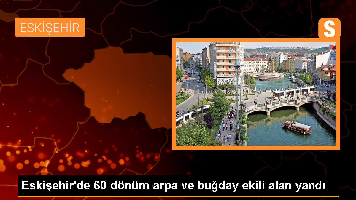 Eskişehir\'de Tarlada Çıkan Yangında 60 Dönüm Arpa ve Buğday Alanı Yandı