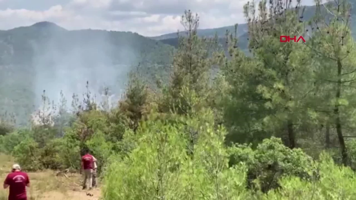 Eskişehir\'de Ormanlık Alanda Yangın Çıktı