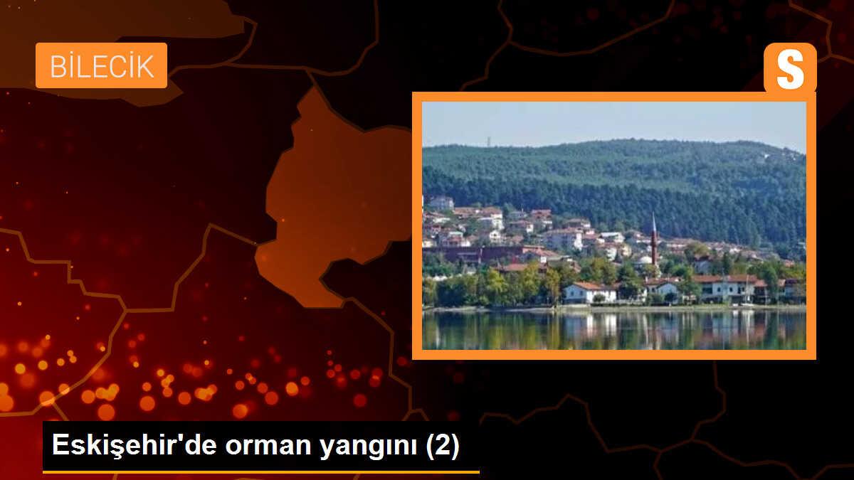 Eskişehir\'de orman yangını (2)