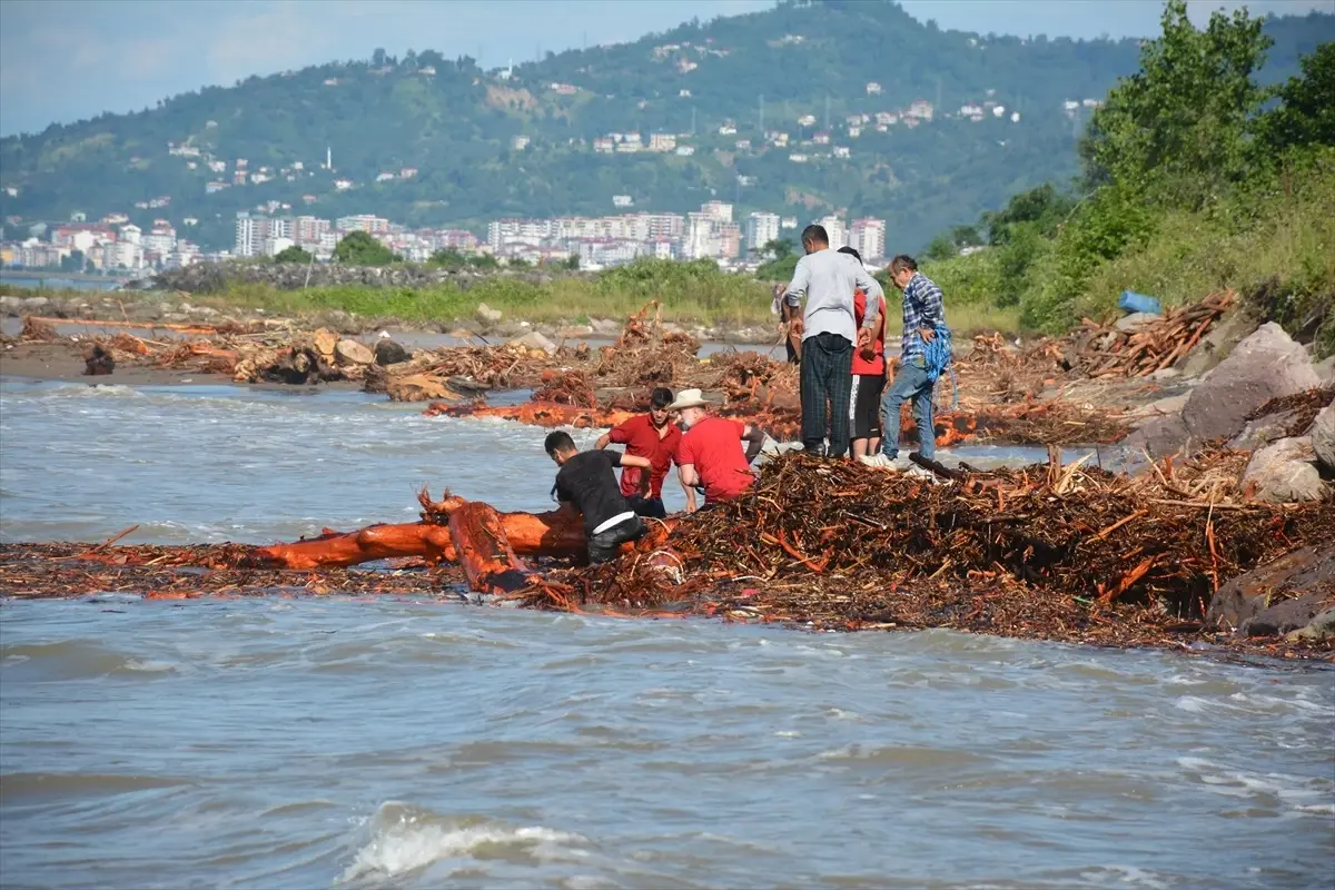 Giresun\'da Şiddetli Yağışla Sürüklenen Ağaç Parçaları Vatandaşlar Tarafından Toplanıyor