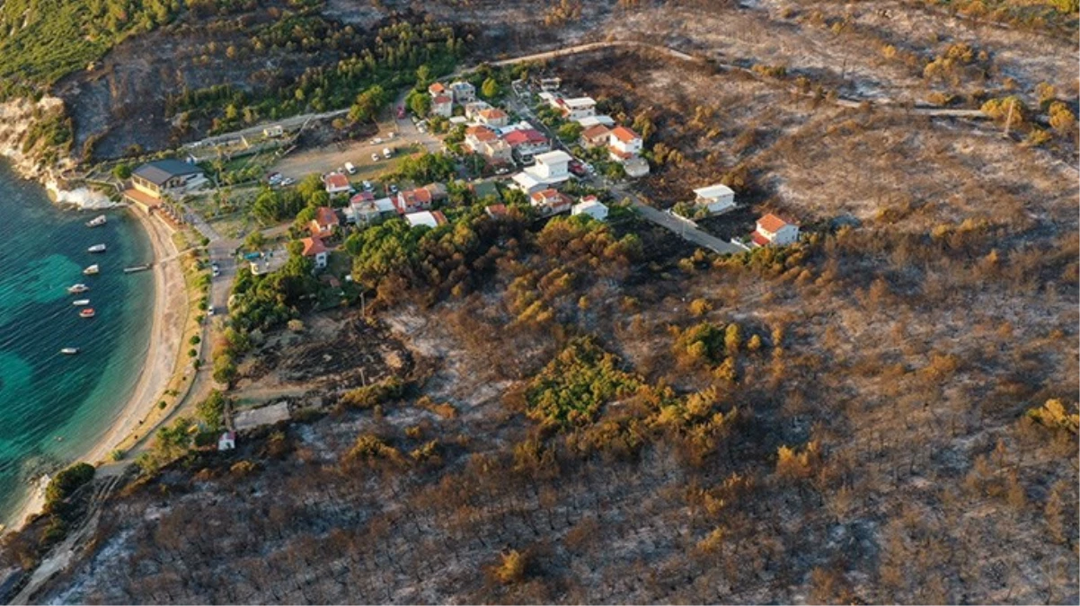 İzmir Aliağa\'da çıkan orman yangını kontrol altına alındı