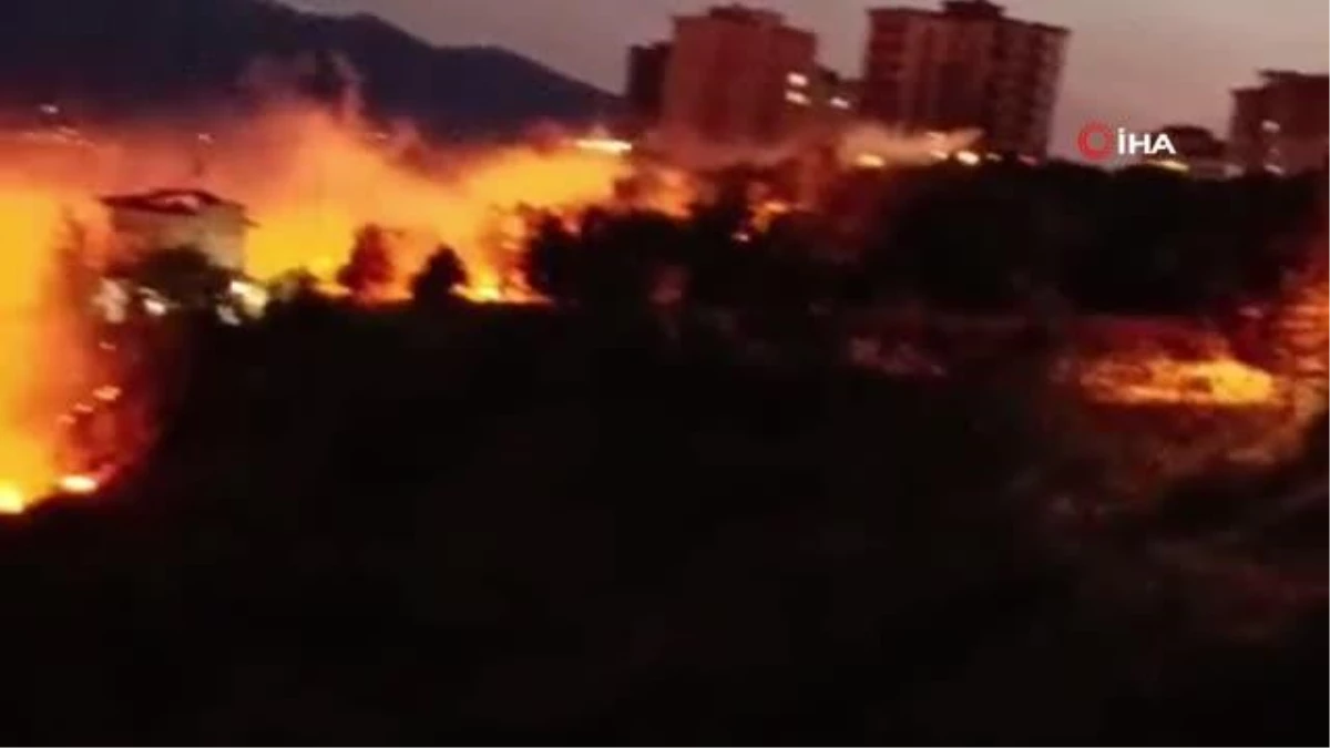 Kahramanmaraş\'ta 7 dönümlük zeytinlik arazi yangında kül oldu