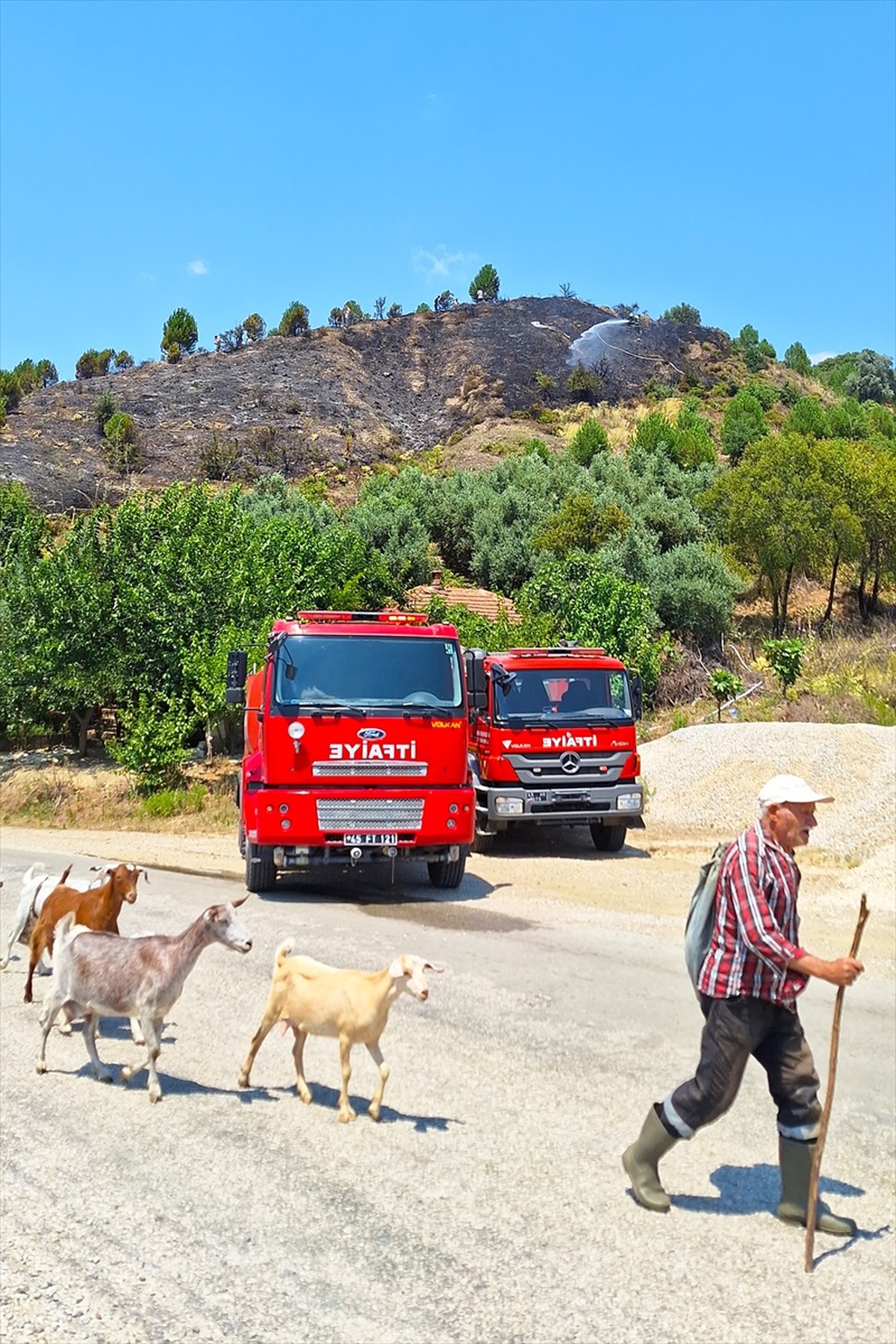 Turgutlu\'da Orman Yangını Kontrol Altına Alındı