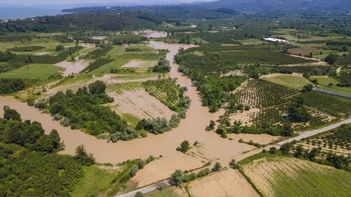 Melen Nehri\'ndeki taşkınlar tarım arazilerine zarar verdi