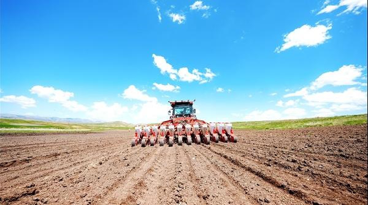 Mezra Ziraat, Yeni Üretim Sezonunda 60 Bin Ton Şeker Pancarı Hedefliyor