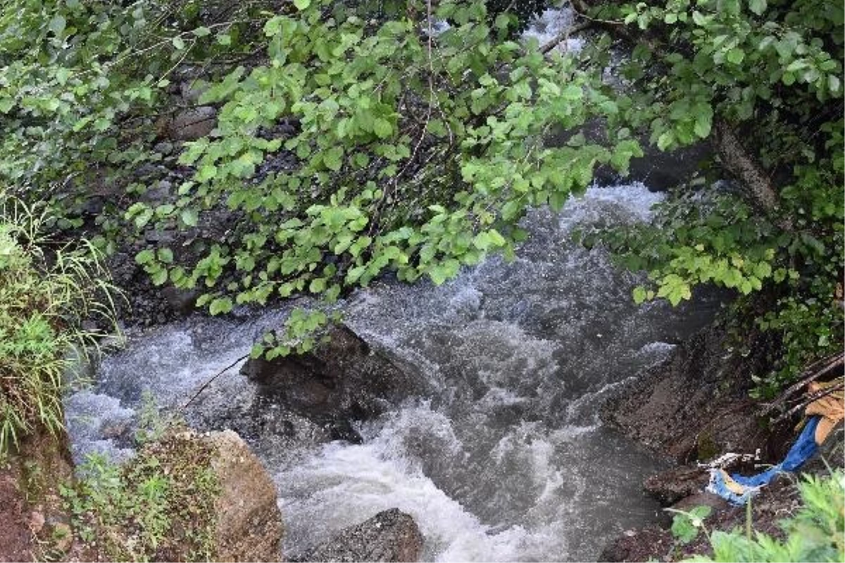 Fatsa\'da sel nedeniyle dereye düşen kadın için arama çalışması devam ediyor