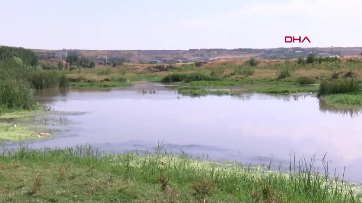 Dicle Nehri\'ndeki Çöpler Hevsel Bahçeleri\'ni Tehdit Ediyor