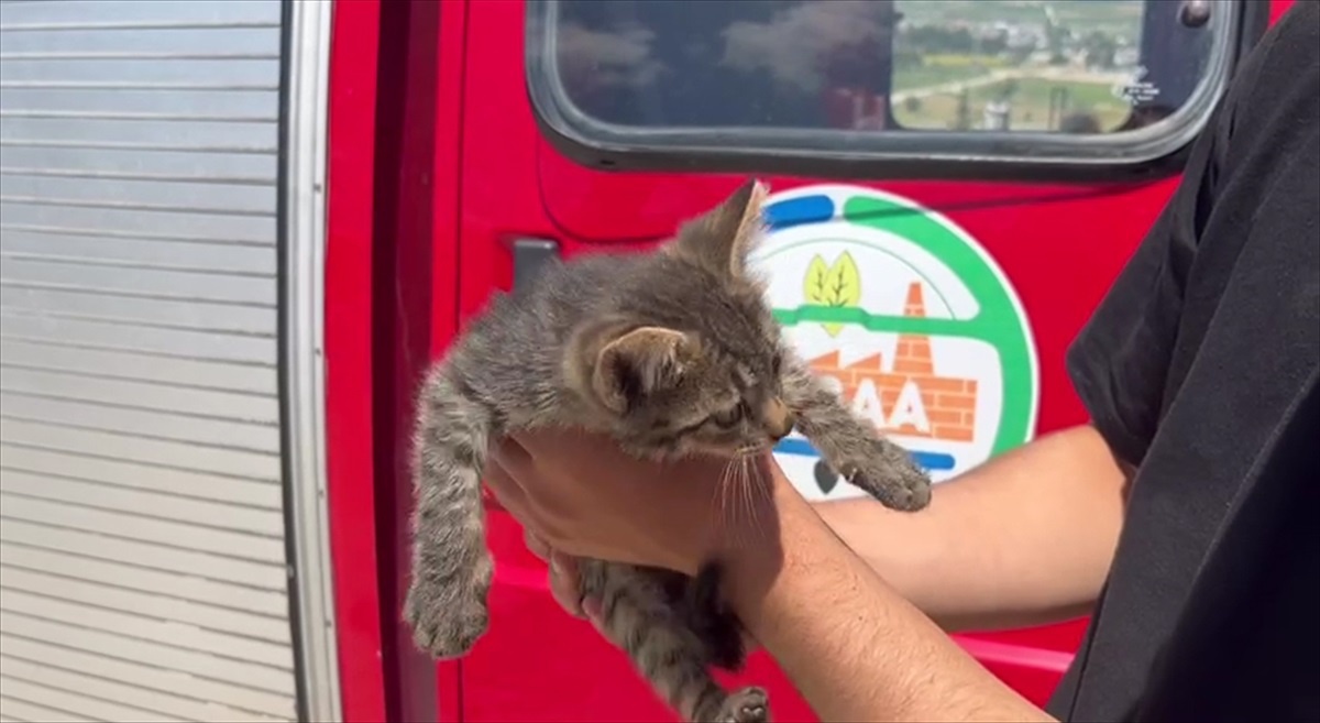 Erbaa\'da aracın motor kısmına giren kedi yavrusu itfaiye ekiplerince kurtarıldı