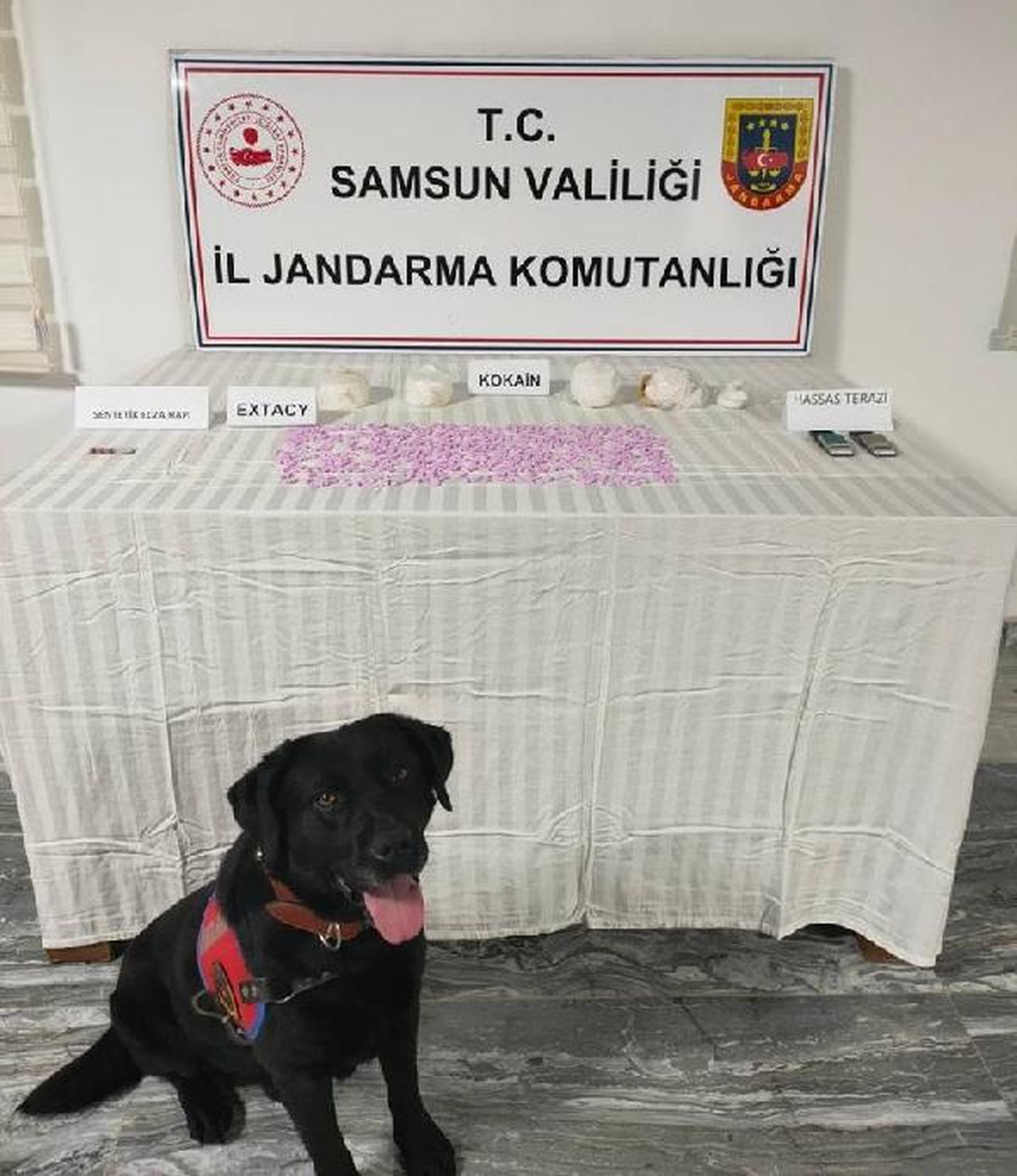 Samsun\'da Uyuşturucu Operasyonu: 1 Kilo Kokain ve 855 Adet Ecstasy Ele Geçirildi