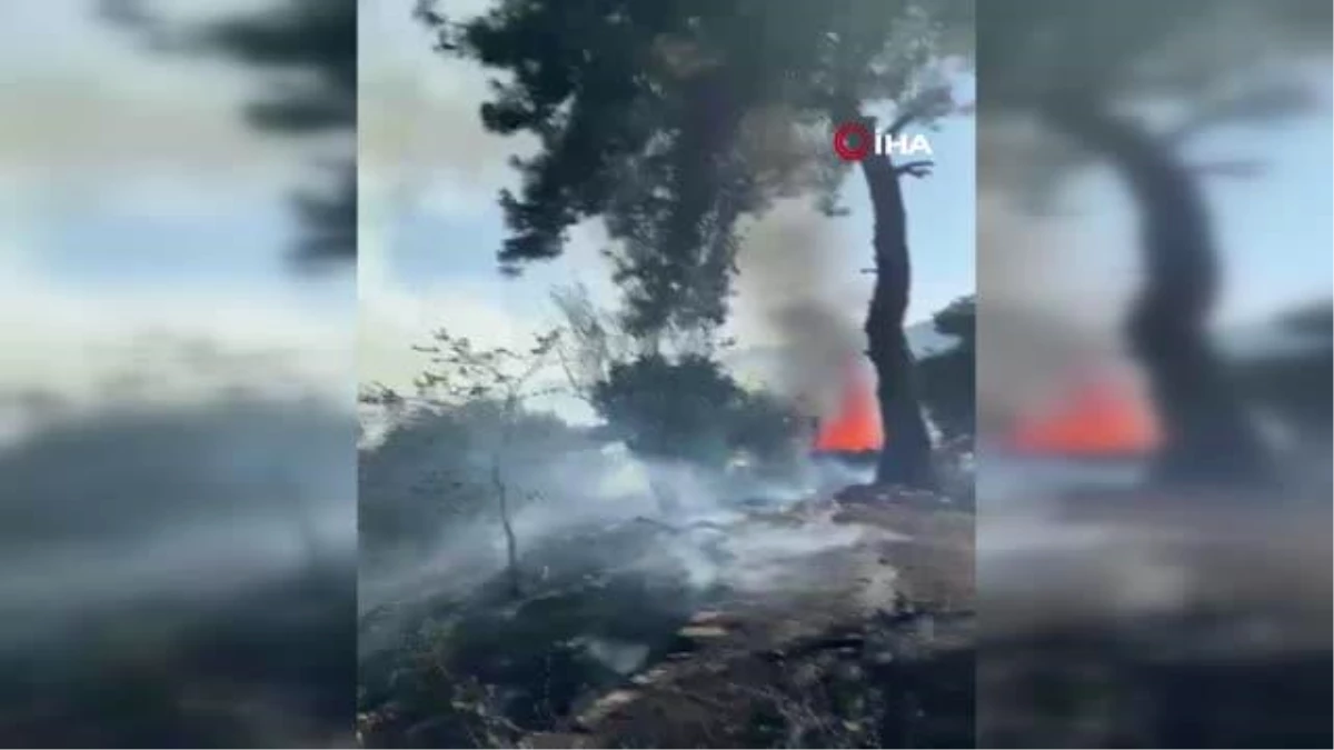 Adana\'da ikinci orman yangını, ekipler müdahaleye başladı