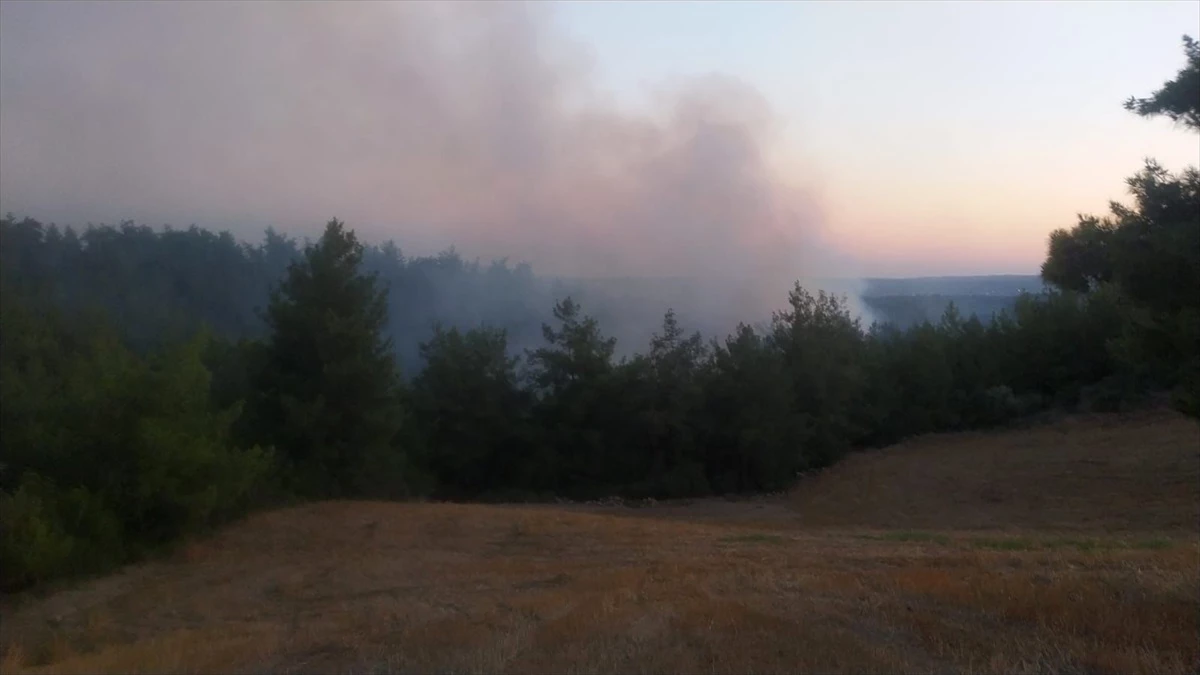 Adana\'nın İmamoğlu ilçesinde orman yangını çıktı