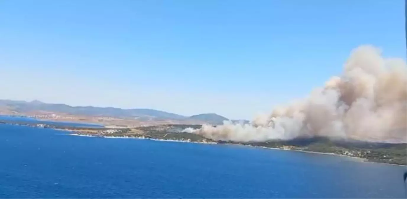 İzmir Aliağa\'da çıkan orman yangınıyla ilgili 2 şüpheli gözaltına alındı