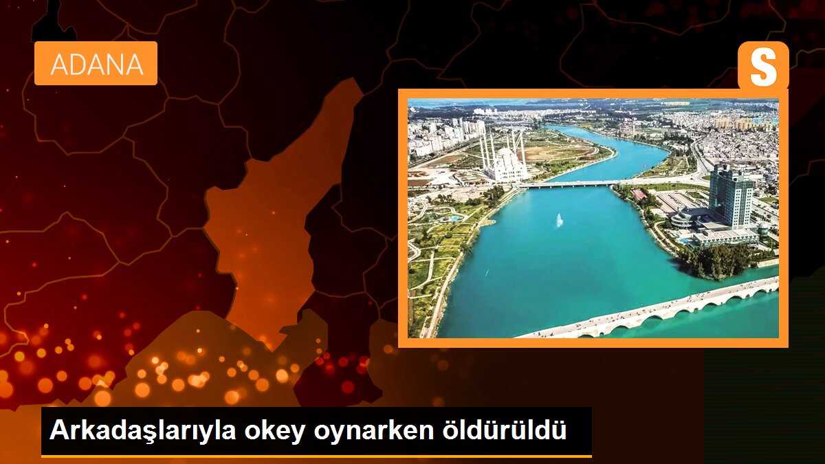 Arkadaşlarıyla okey oynarken öldürüldü