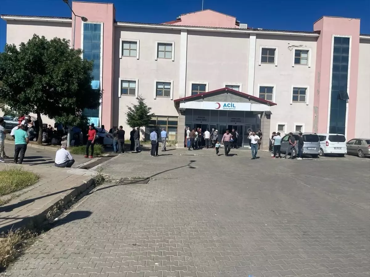 Bingöl\'ün Karlıova ilçesinde otomobilin çarptığı 5 yaşındaki kız çocuğu hayatını kaybetti