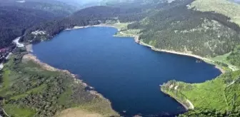 Bolu'da Ormanlara Giriş ve Ateş Yakma Yasaklandı