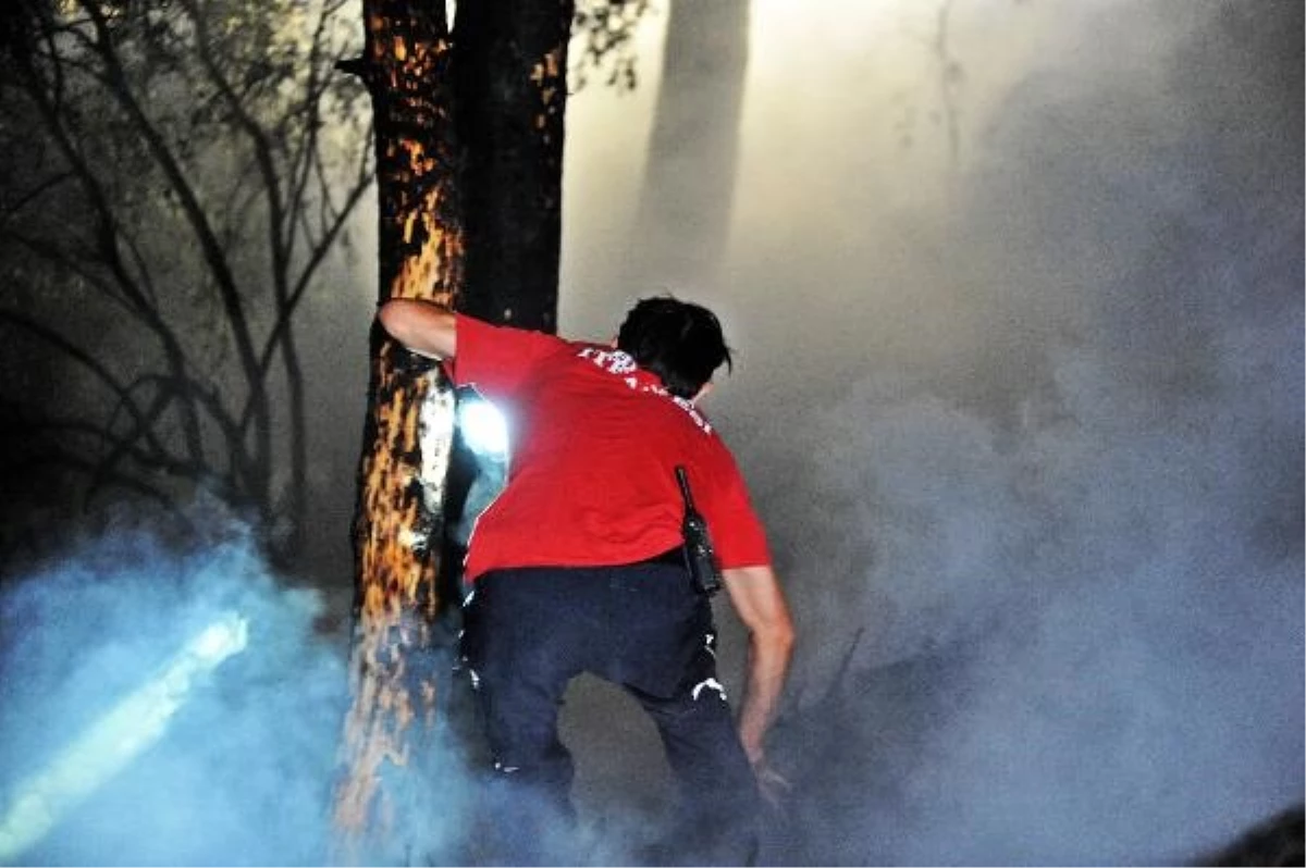 Bursa\'da çıkan orman yangını kontrol altına alındı, şüpheli gözaltına alındı