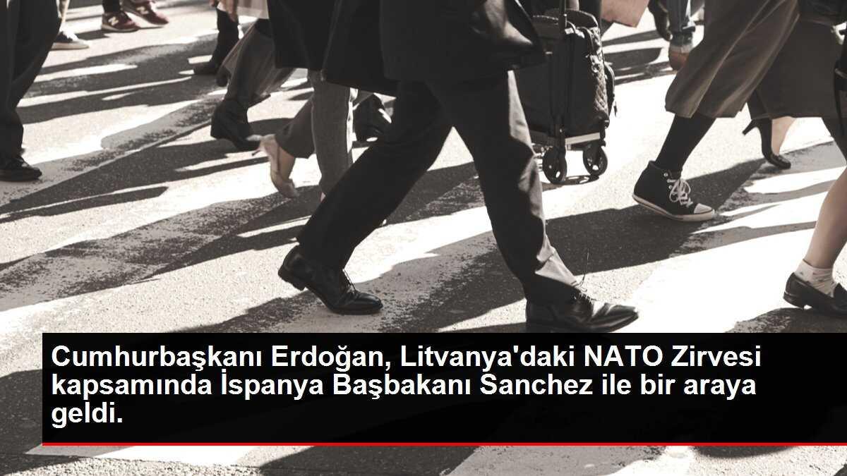 Cumhurbaşkanı Erdoğan, Litvanya'daki NATO Zirvesi kapsamında İspanya Başbakanı Sanchez ile bir araya geldi.