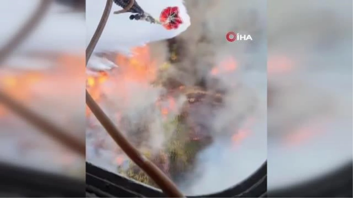 İzmir\'deki orman yangınında yaralanan personel şehit oldu