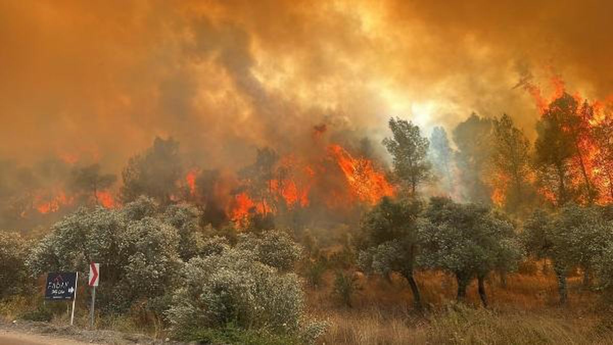 Muğla\'da Otlukta Çıkan Yangın Ormana Sıçradı