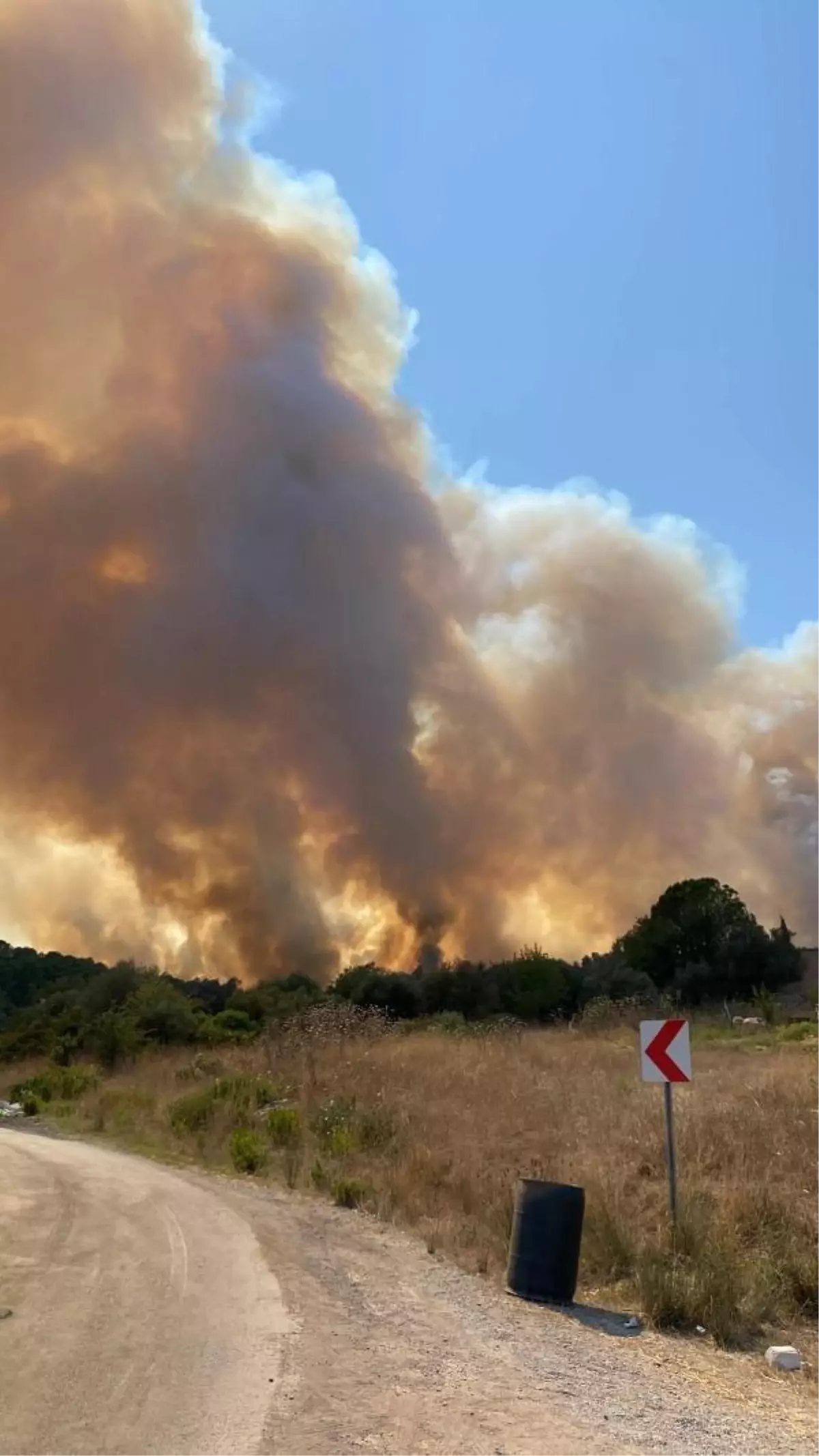 Muğla\'da çıkan yangına havadan ve karadan müdahale sürüyor