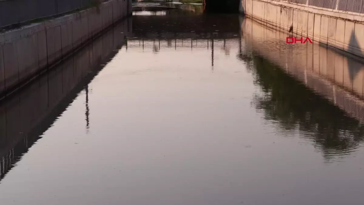 Silivri\'deki Elmalık Deresi\'nden Gelen Kötü Koku Çevredekileri Rahatsız Ediyor