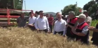 Sındırgı'da Yerli Üretim ile Alınan Verim Yüzleri Güldürdü