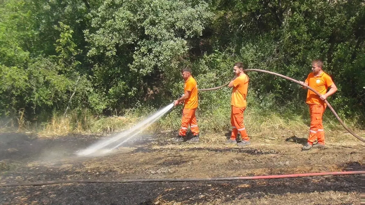 Taraklı\'da çıkan yangın ormanlık alana sıçramadan kontrol altına alındı