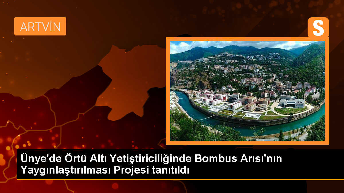Ünye\'de Bombus Arısı Projesi Tanıtıldı