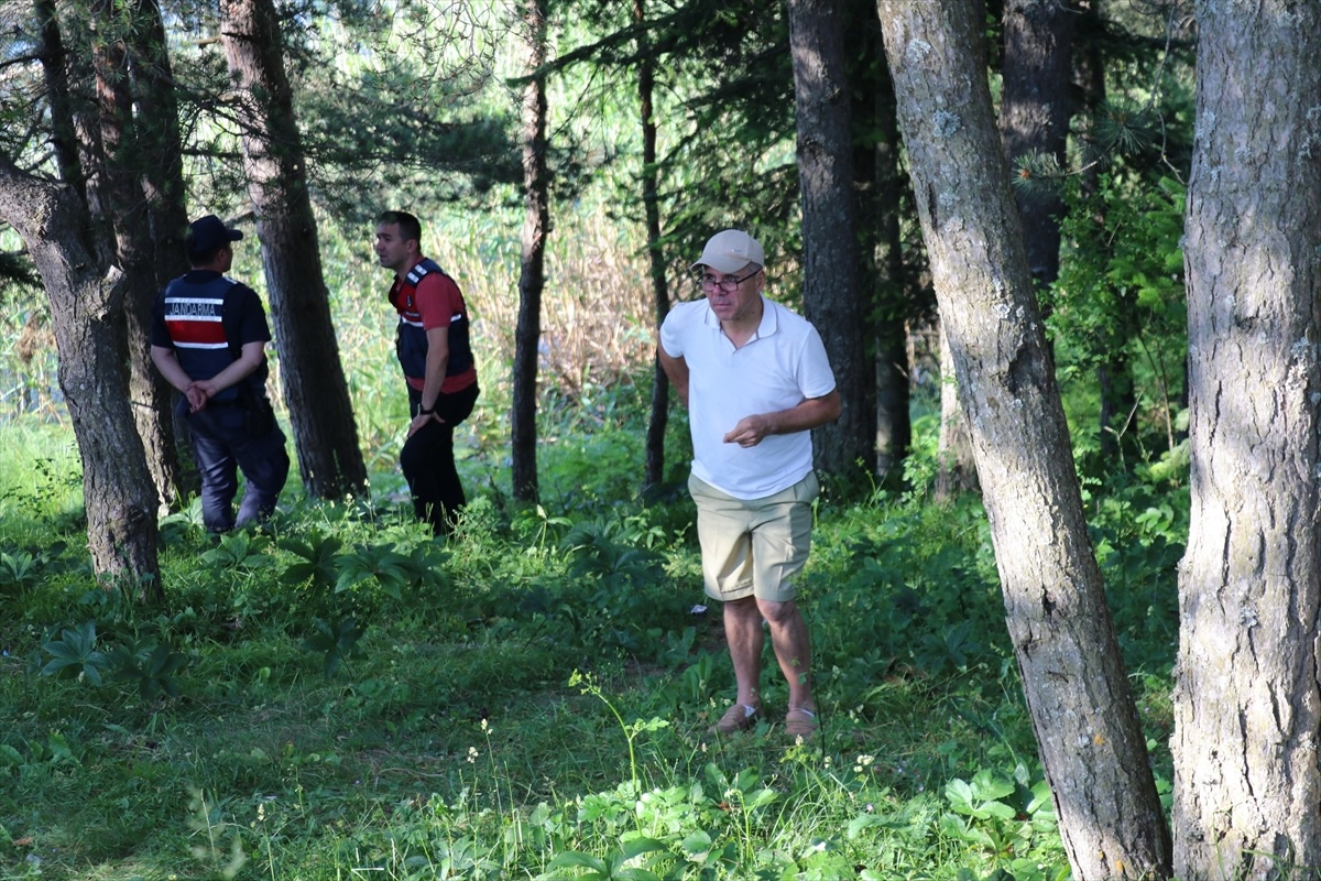 Abant Gölü\'nde El Freni Unutulan Otomobil Göle Düştü