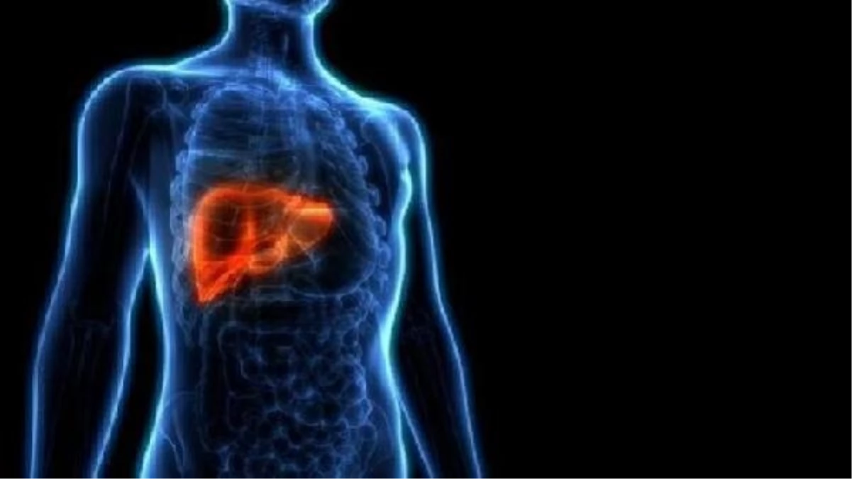 Karaciğer Yağlanması ve Beslenme Alışkanlıkları