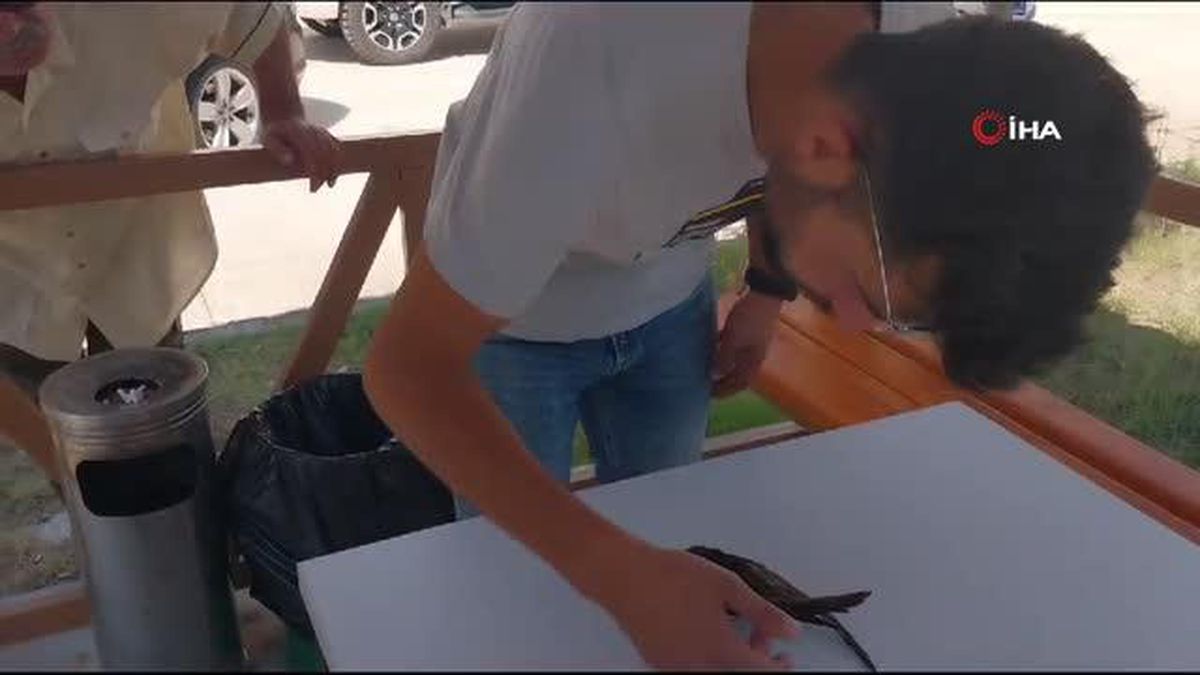 Bitkin düşen ebabil kuşu tedavi altına alındı