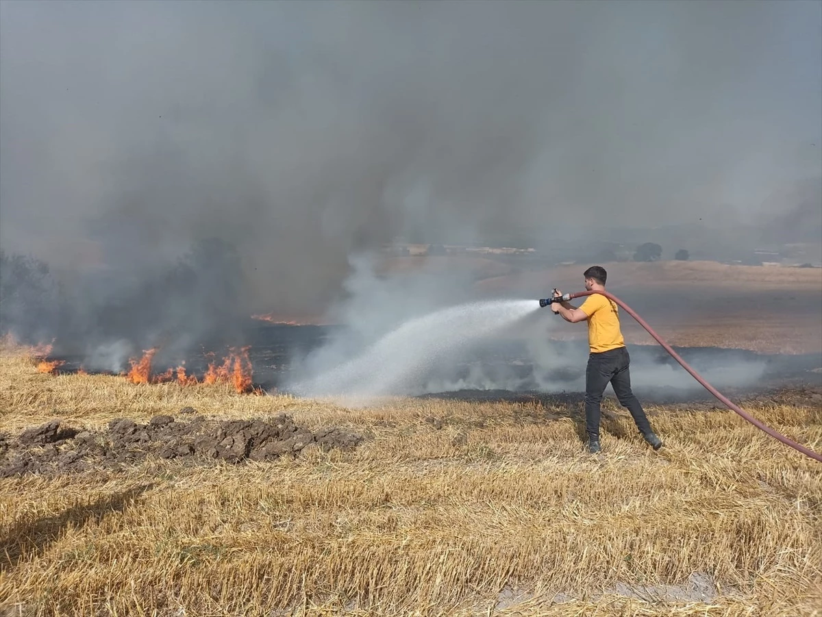 Mustafakemalpaşa\'da Buğday Tarlasında Yangın