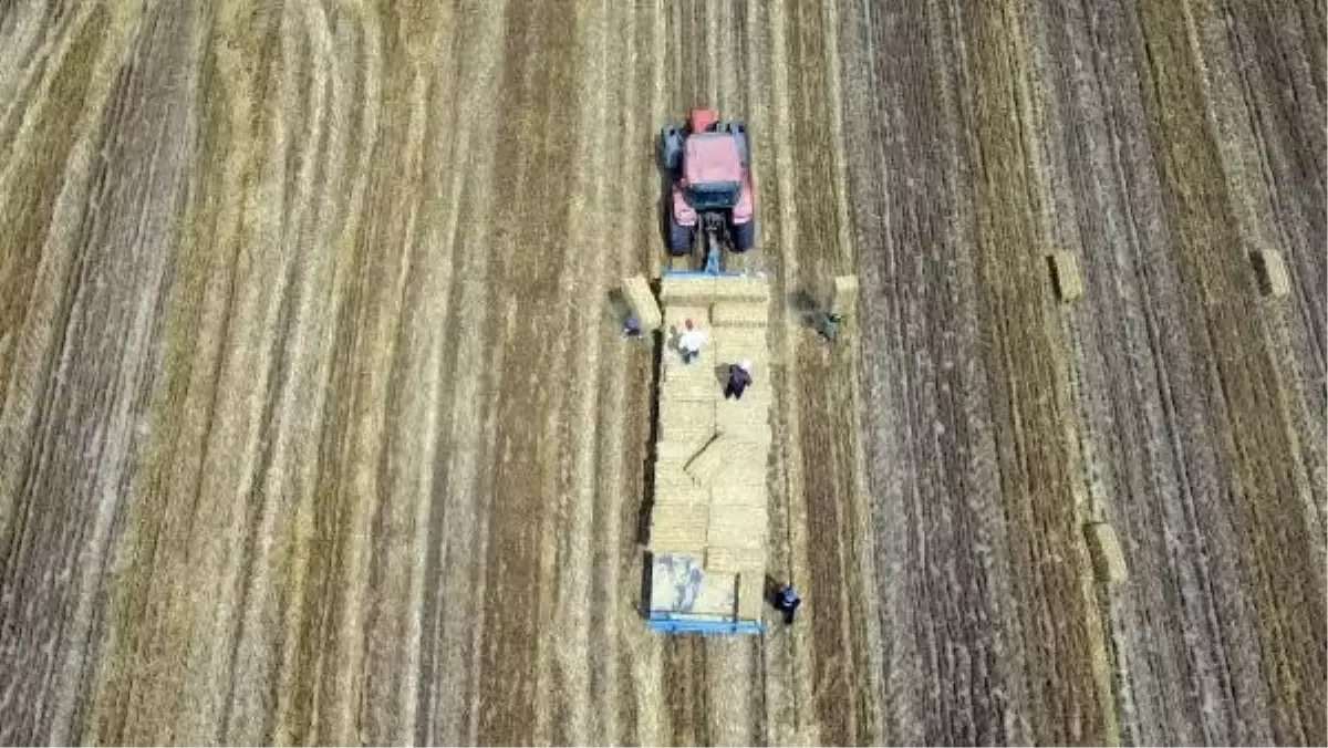 Edirne'de Buğday Hasadı Sonrası Balya İşçilerinin Zorlu Mesaisi