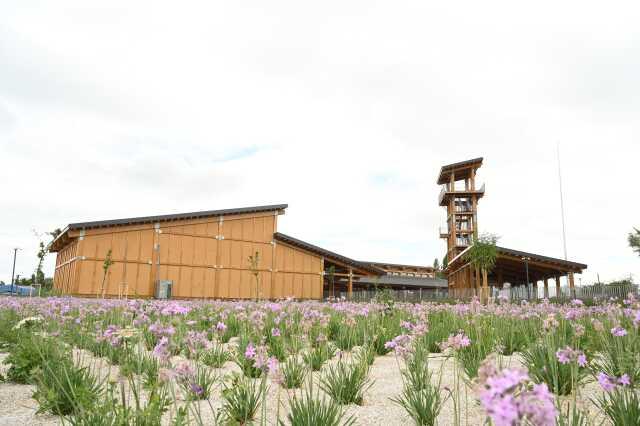 Konya'da 10 bin yıllık Çatalhöyük, yeni proje ile dünyada daha fazla tanınacak